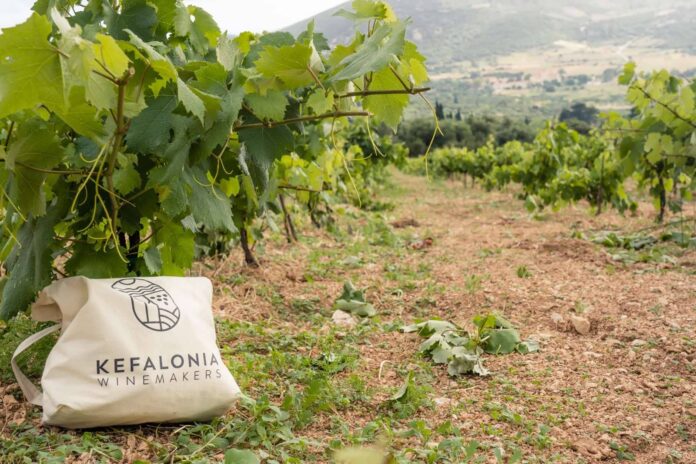 5ο Kefalonia Wine Hub – Η Ρομπόλα στο επίκεντρο: γευσιγνωσία, οινολογία, αμπελουργία 5ο Kefalonia Wine Hub – Η Ρομπόλα στο επίκεντρο: γευσιγνωσία, οινολογία, αμπελουργία
