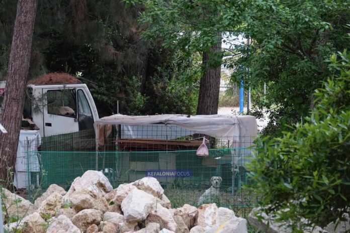 Αργοστόλι – Σκύλοι σε πρόχειρο περιφραγμένο χώρο στο Ξενία προκαλούν ερωτήματα και ανησυχία Αργοστόλι – Σκύλοι σε πρόχειρο περιφραγμένο χώρο στο Ξενία προκαλούν ερωτήματα και ανησυχία