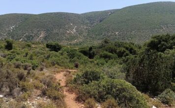 Κεφαλονιά:Μεγάλη επιχείρηση διάσωσης της Πυροσβεστικής στη Φτέρη για τραυματισμένη τουρίστρια