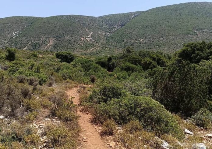 Κεφαλονιά:Μεγάλη επιχείρηση διάσωσης της Πυροσβεστικής στη Φτέρη για τραυματισμένη τουρίστρια Κεφαλονιά:Μεγάλη επιχείρηση διάσωσης της Πυροσβεστικής στη Φτέρη για τραυματισμένη τουρίστρια