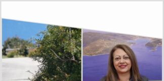 Τρία χρόνια χωρίς κανέναν καθαρισμό στο επαρχιακό οδικό δίκτυο της Ιθάκης – Τι κάνει η Έπαρχος κ. Σαρδέλη;