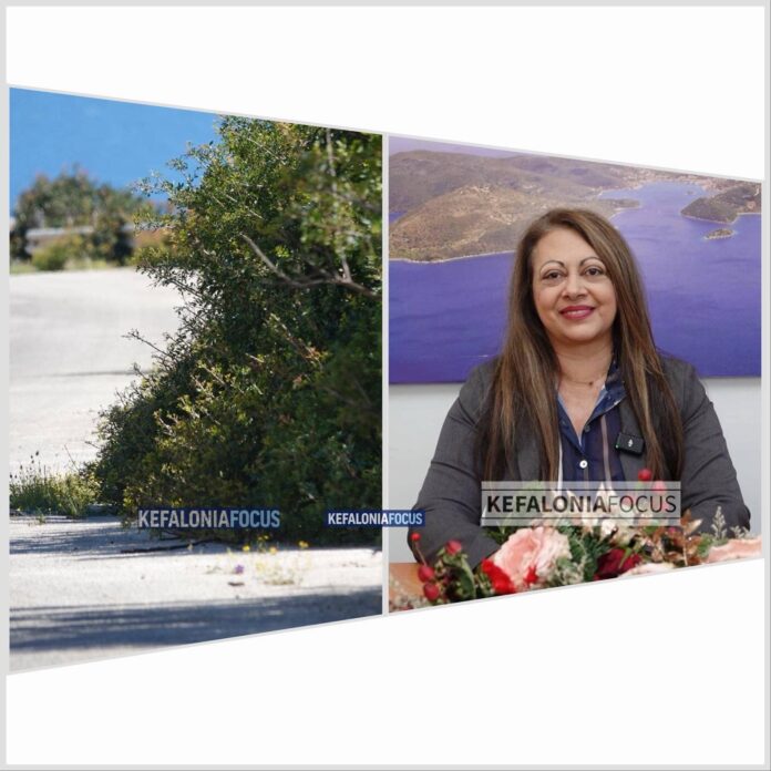 Τρία χρόνια χωρίς κανέναν καθαρισμό στο επαρχιακό οδικό δίκτυο της Ιθάκης – Τι κάνει η Έπαρχος κ. Σαρδέλη; Τρία χρόνια χωρίς κανέναν καθαρισμό στο επαρχιακό οδικό δίκτυο της Ιθάκης – Τι κάνει η Έπαρχος κ. Σαρδέλη;