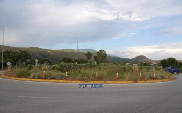 Κόμβος Κρανιάς: Πνιγμένος στα χόρτα, ξεχασμένος από την Περιφέρεια