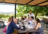 Η Ρομπόλα στο επίκεντρο του 5ου Kefalonia Wine Hub
