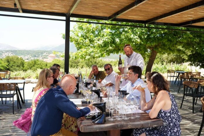 Η Ρομπόλα στο επίκεντρο του 5ου Kefalonia Wine Hub Η Ρομπόλα στο επίκεντρο του 5ου Kefalonia Wine Hub