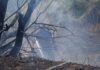 Μάχη με τις φλόγες και τον καπνό – Πυροσβέστης κατέληξε στο Νοσοκομείο Κεφαλονιάς κατά την επιχείρηση κατάσβεσης στα Μοναστήρια Καλλιγάτων