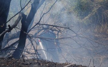 Μάχη με τις φλόγες και τον καπνό – Πυροσβέστης κατέληξε στο Νοσοκομείο Κεφαλονιάς κατά την επιχείρηση κατάσβεσης στα Μοναστήρια Καλλιγάτων