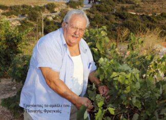 «Το χελιδόνι των Φραγκάτων» πέταξε για την αιωνιότητα – Η συγκλονιστική μαρτυρία ζωής του Παναγή Φραγκιά