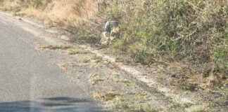 Ανησυχία στην Ιθάκη: Αναφορά για ολισθηρό οδόστρωμα στον δρόμο Φρίκες – Κιόνι μετά τον καθαρισμό των πρανών από την Περιφέρεια