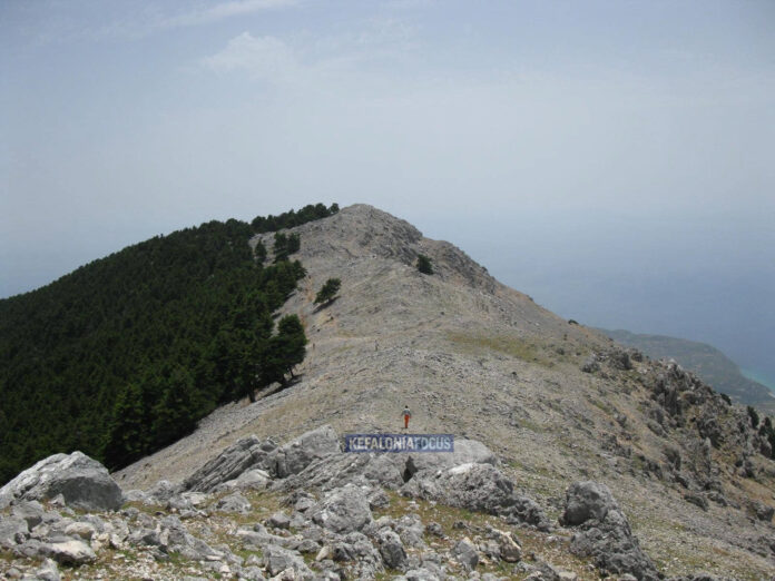 Δραματική επιχείρηση διάσωσης στον Αίνο – Εξαντλημένο ζευγάρι Ιταλών τουριστών ζήτησε βοήθεια μέσα στη ζέστη Δραματική επιχείρηση διάσωσης στον Αίνο – Εξαντλημένο ζευγάρι Ιταλών τουριστών ζήτησε βοήθεια μέσα στη ζέστη