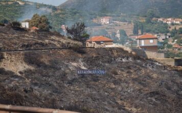 Περιοδεία του Νίκου Καραθανασόπουλου στις πυρόπληκτες περιοχές του Ελειού – Πρόννων.