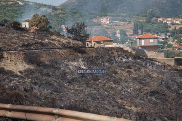 Συνελήφθη 44χρονος για τη μεγάλη πυρκαγιά στην Κεφαλονιά – Είχε απασχολήσει ξανά τις Αρχές για υποθέσεις εμπρησμών Συνελήφθη 44χρονος για τη μεγάλη πυρκαγιά στην Κεφαλονιά – Είχε απασχολήσει ξανά τις Αρχές για υποθέσεις εμπρησμών