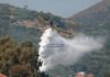 Σε ύφεση η μεγάλη πυρκαγιά στον Ελειό – Πρόννους – Ενεργό παραμένει μέτωπο προς την περιοχή του Αλειματά