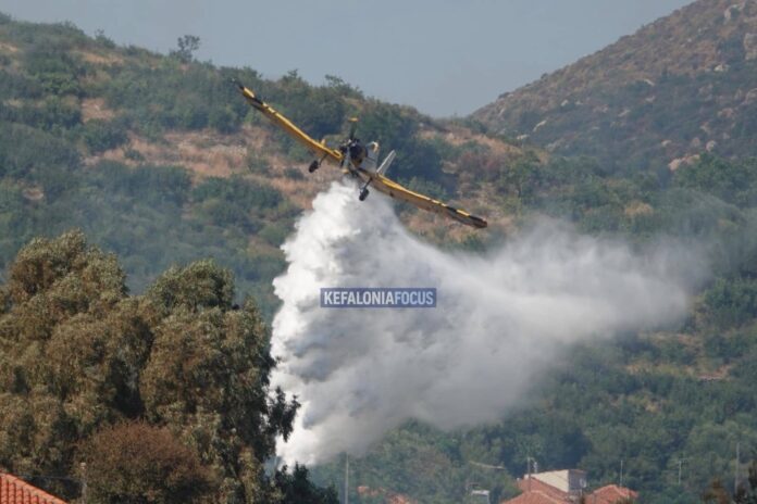 Σε ύφεση η μεγάλη πυρκαγιά στον Ελειό – Πρόννους – Ενεργό παραμένει μέτωπο προς την περιοχή του Αλειματά Σε ύφεση η μεγάλη πυρκαγιά στον Ελειό – Πρόννους – Ενεργό παραμένει μέτωπο προς την περιοχή του Αλειματά