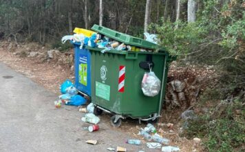 Δαφνούδι: Χωρίς κάδους υπήρχε καθαριότητα – «Μία φορά έχω δει το σκουπιδιάρικο να κατεβαίνει»