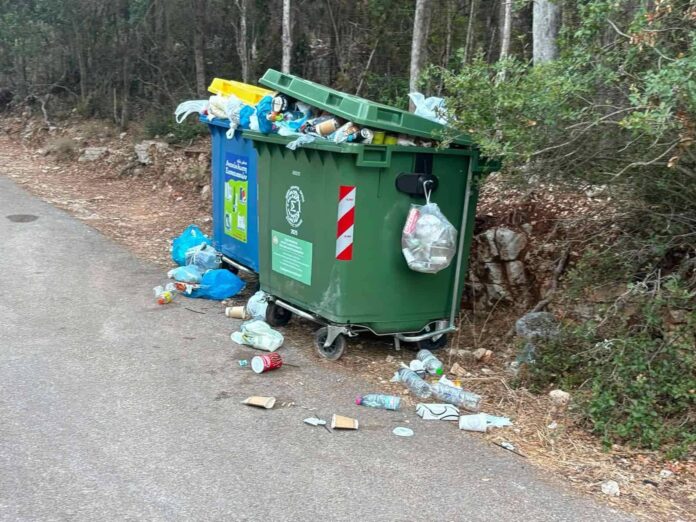 Δαφνούδι: Χωρίς κάδους υπήρχε καθαριότητα – «Μία φορά έχω δει το σκουπιδιάρικο να κατεβαίνει» Δαφνούδι: Χωρίς κάδους υπήρχε καθαριότητα – «Μία φορά έχω δει το σκουπιδιάρικο να κατεβαίνει»