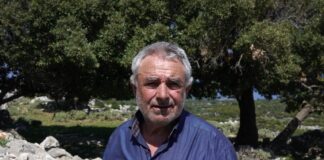 Γιώργος Βασιλόπουλος: «Τα νησιά του Οδυσσέα» και οι «λαγοί» της Περιφέρειας – Ιστορία, ταυτότητα και Ιόνιο δεν προσφέρονται για επικοινωνιακά παιχνίδια
