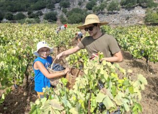 Στα Δεφαρανάτα γράφτηκε μια ακόμη όμορφη σελίδα της οικογενειακής παράδοσης του Παύλου Σκλαβούνου