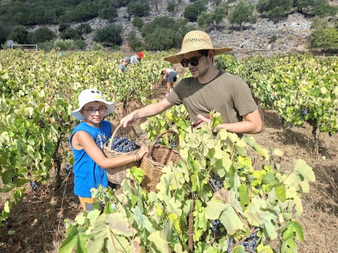 Στα Δεφαρανάτα γράφτηκε μια ακόμη όμορφη σελίδα της οικογενειακής παράδοσης του Παύλου Σκλαβούνου Στα Δεφαρανάτα γράφτηκε μια ακόμη όμορφη σελίδα της οικογενειακής παράδοσης του Παύλου Σκλαβούνου
