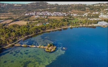 «Εκποίηση του Κουτάβου»: Ο ΦΑΡΟΣ ζητά ξεκάθαρες απαντήσεις για το πάρκινγκ και τον δασικό χαρακτήρα της έκτασης