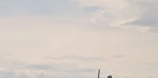 Βρέθηκε ζωντανή η 44χρονη που έπεσε στη θάλασσα από κρουαζιερόπλοιο νοτιοδυτικά της Ζακύνθου